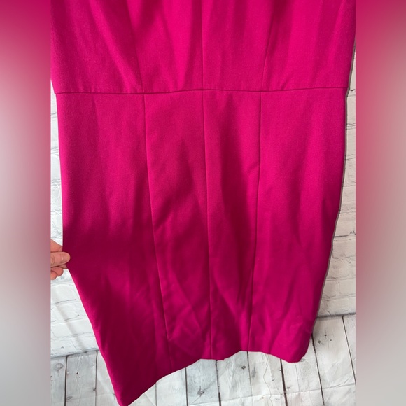 The Limited Dark Pink Sleeveless dress size 10 - Picture 8 of 14